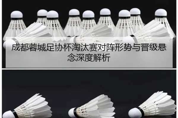 成都蓉城足协杯淘汰赛对阵形势与晋级悬念深度解析
