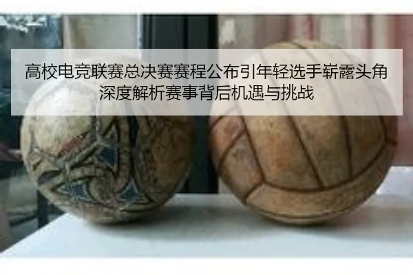 高校电竞联赛总决赛赛程公布引年轻选手崭露头角深度解析赛事背后机遇与挑战